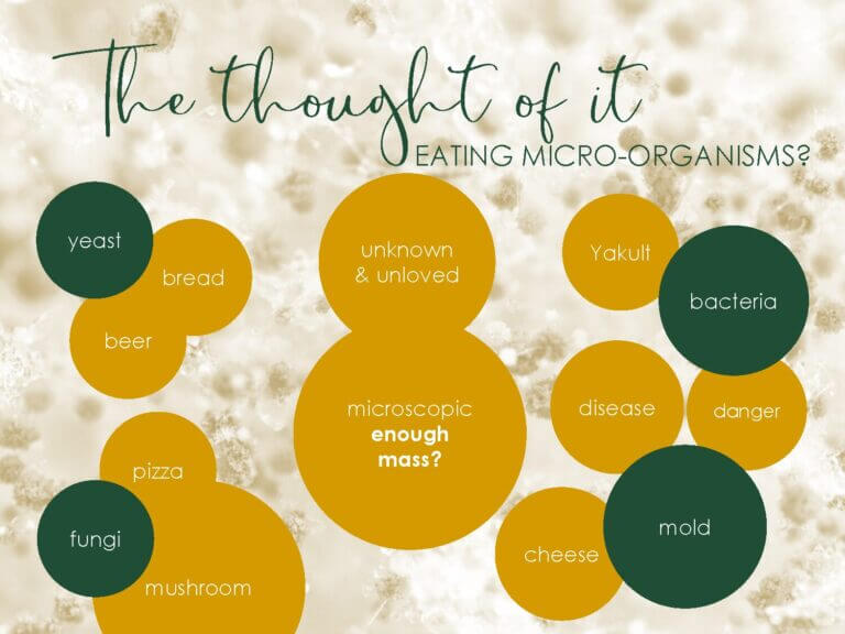 Cases als voorbeeld met extra uitleg NL_Pagina_12